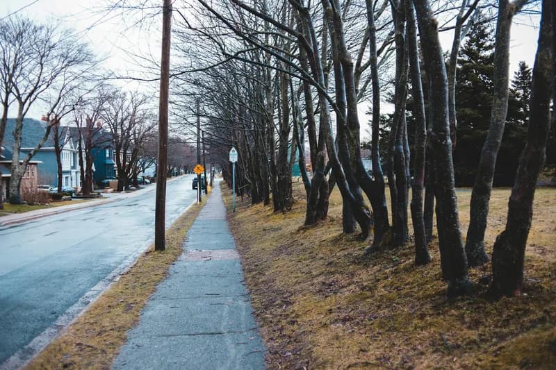 Scenic walking trail through community with trees and landscaping